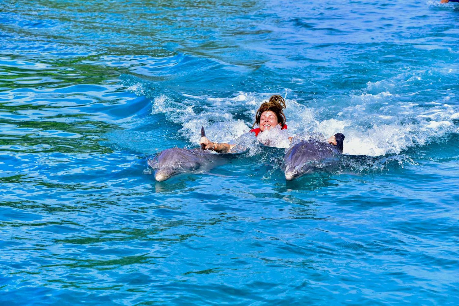 Swimmers glide through crystal blue water alongside playful dolphins in synchronized motion.