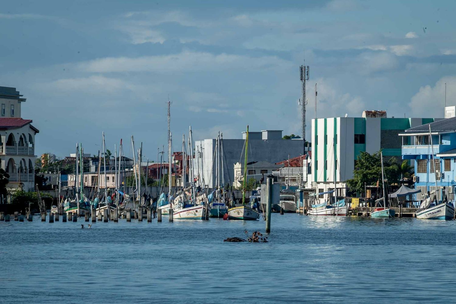 Panoramic view of a coastal marina with boats, buildings, and docks stretching across the waterfront.