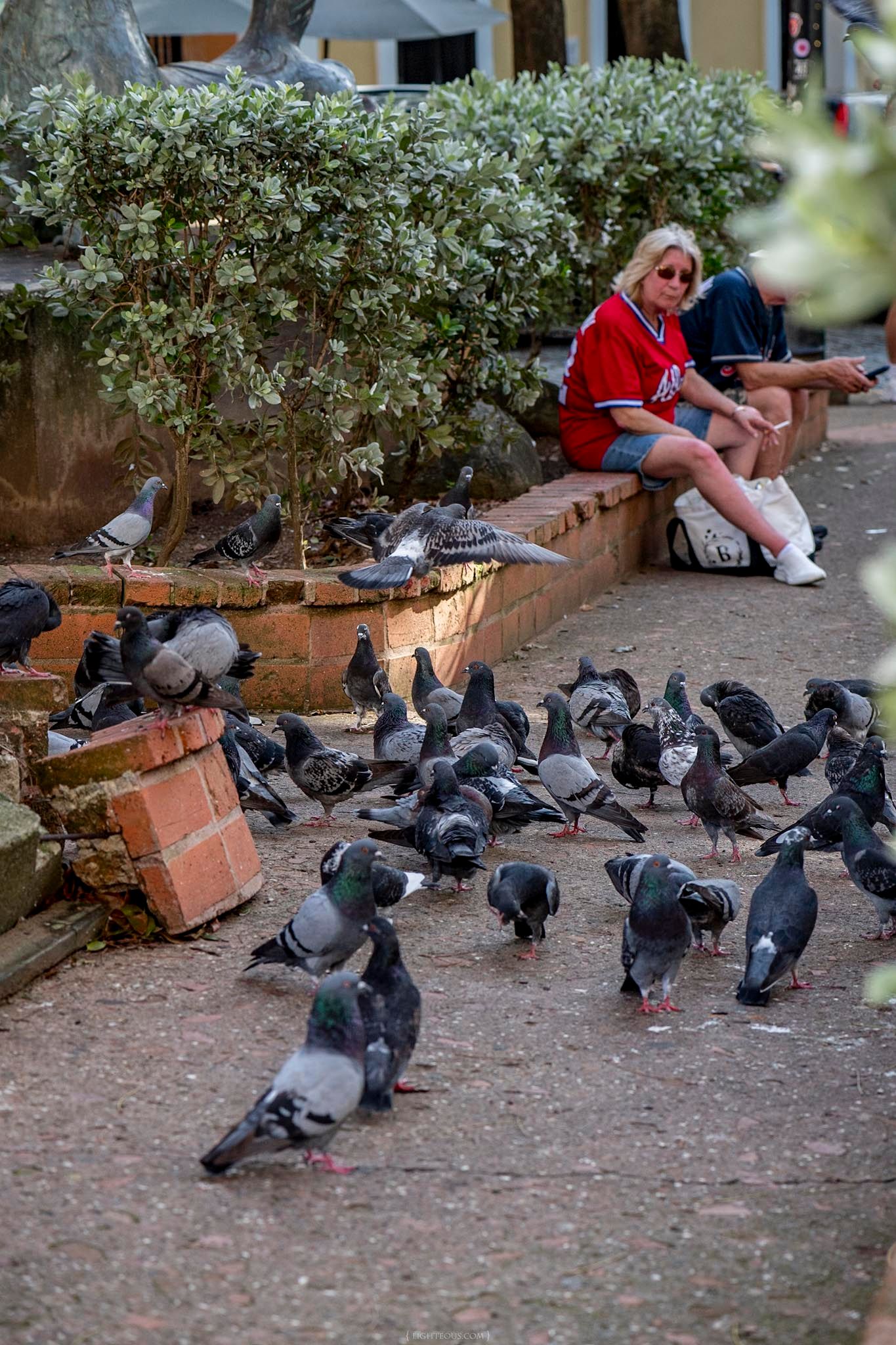 A blonde woman in a red jersey sits on a bench surrounded by a large flock of pigeons in a shaded plaza.