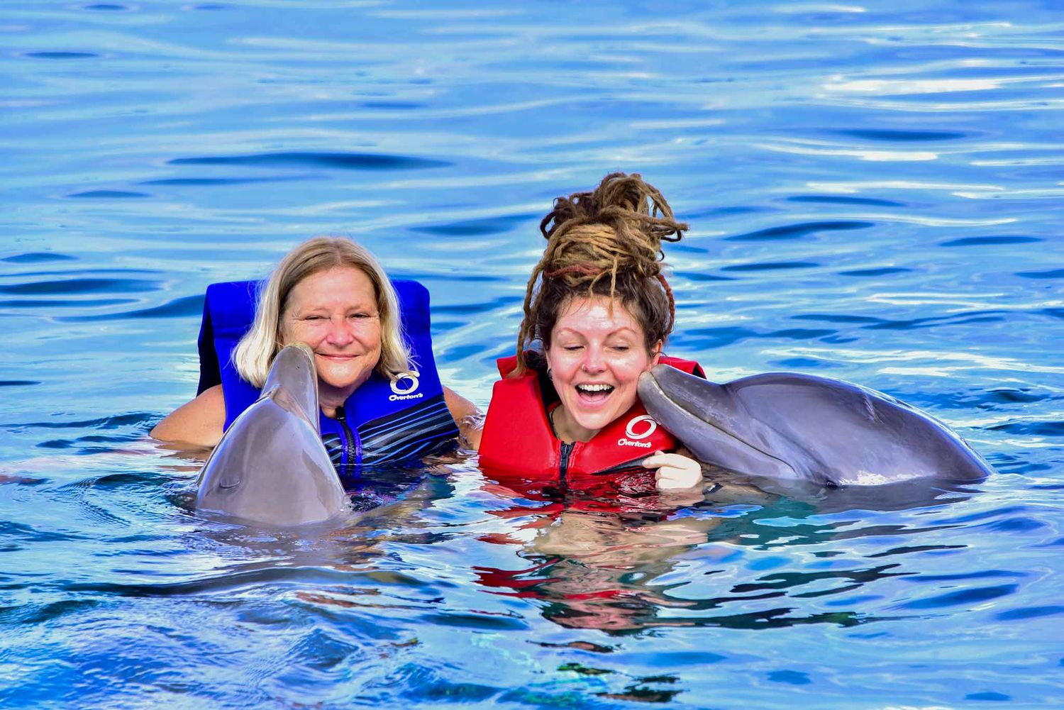 People swim alongside friendly dolphins in turquoise waters during an interactive marine experience.
