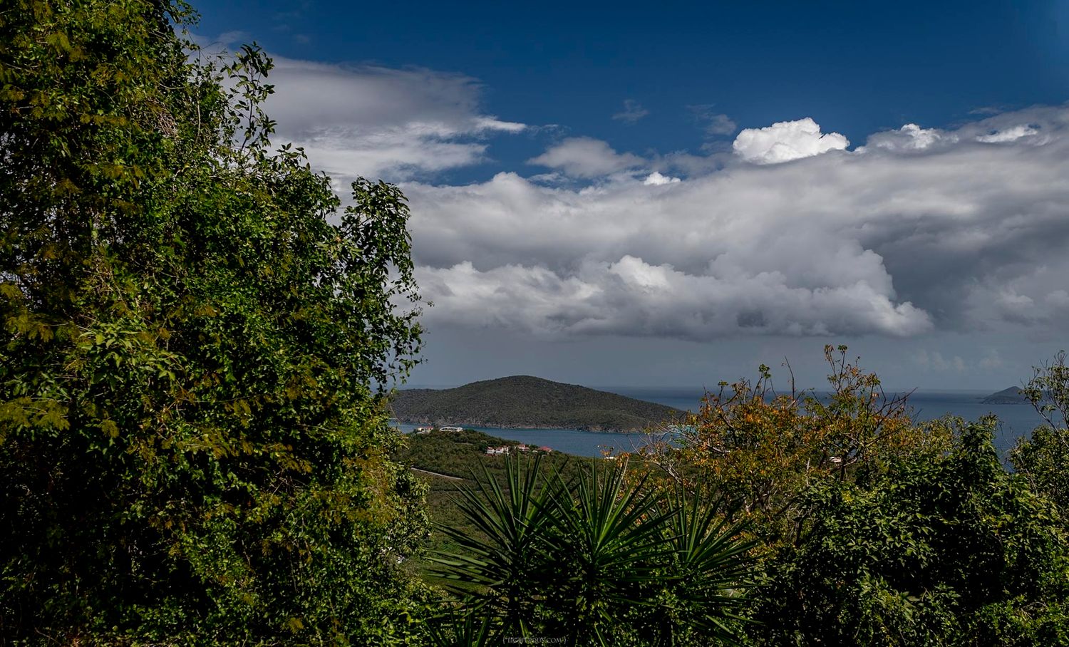 Panoramic coastal view with lush green trees, agave plants, calm blue bay, distant hills, and dramatic white clouds in a bright sky.