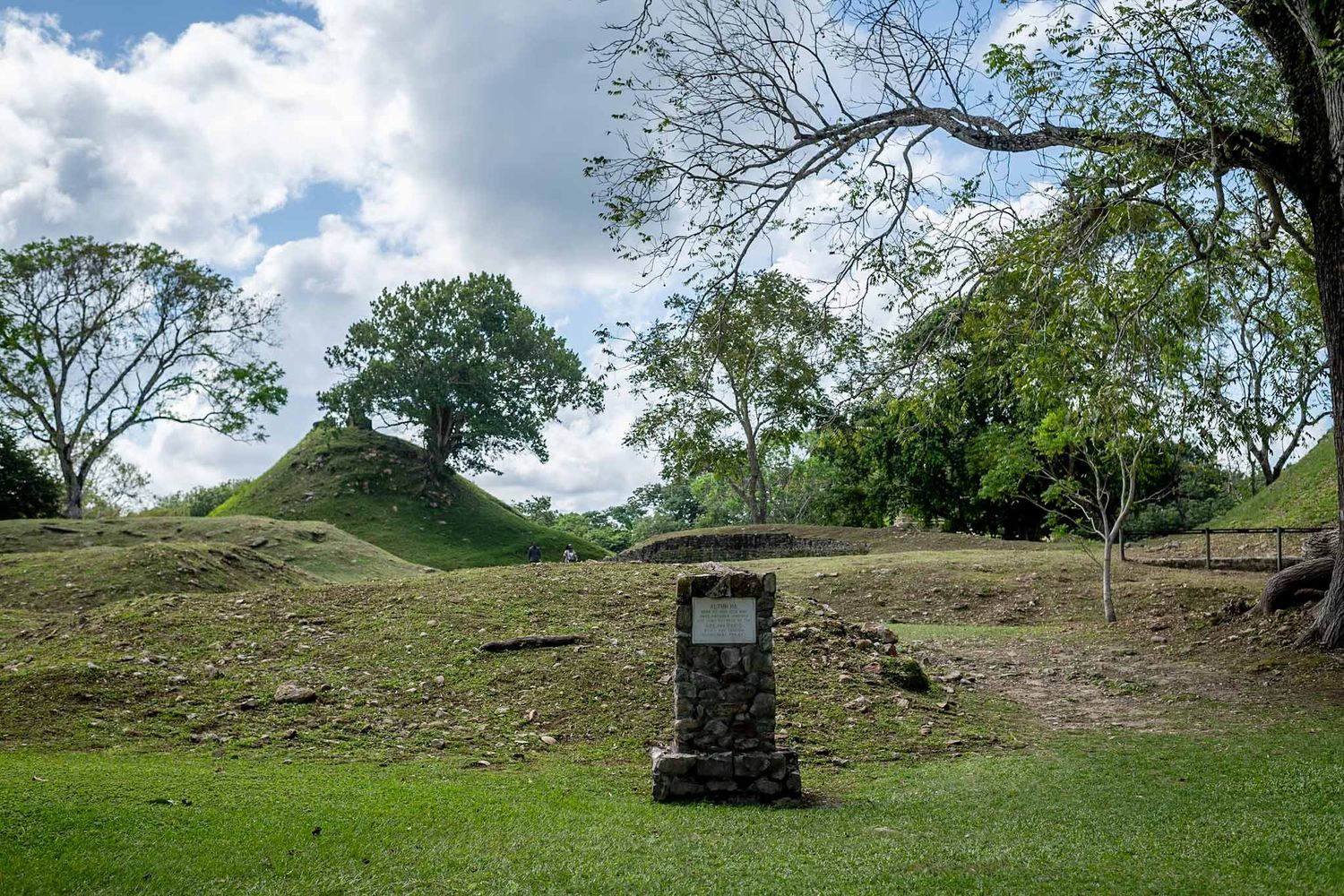 Panoramic view of rolling green hills with scattered trees and wooden fencing under a cloudy blue sky.