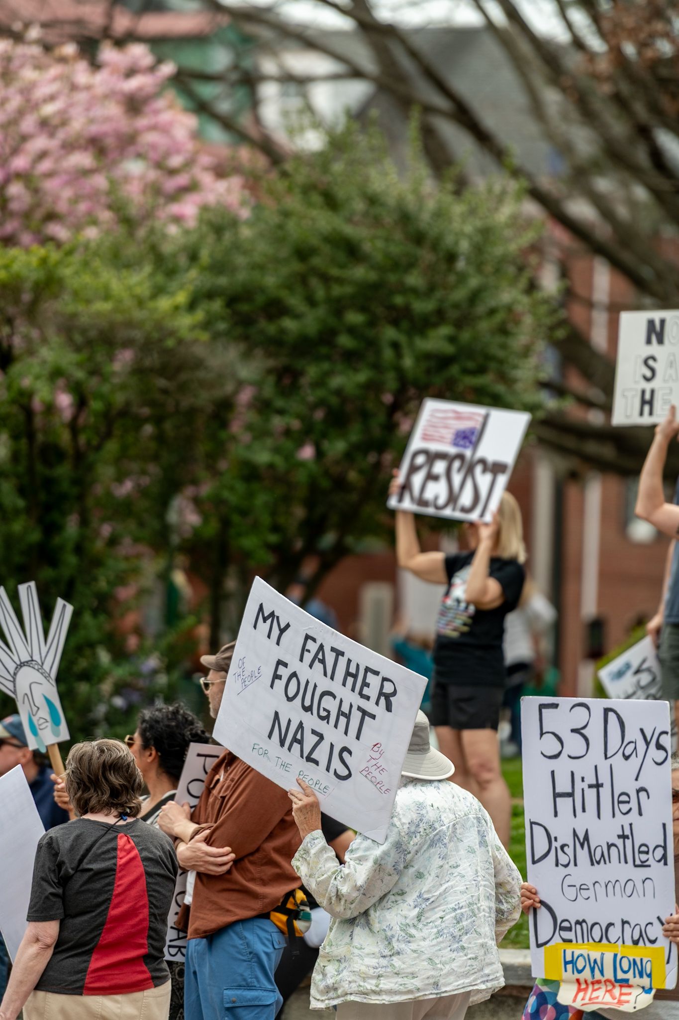 Protesters hold various political signs during a demonstration with flowering trees in background.