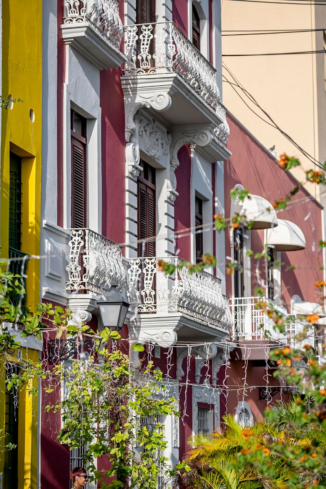 Colorful colonial buildings with ornate white iron balconies and lush greenery on a vibrant city street.
