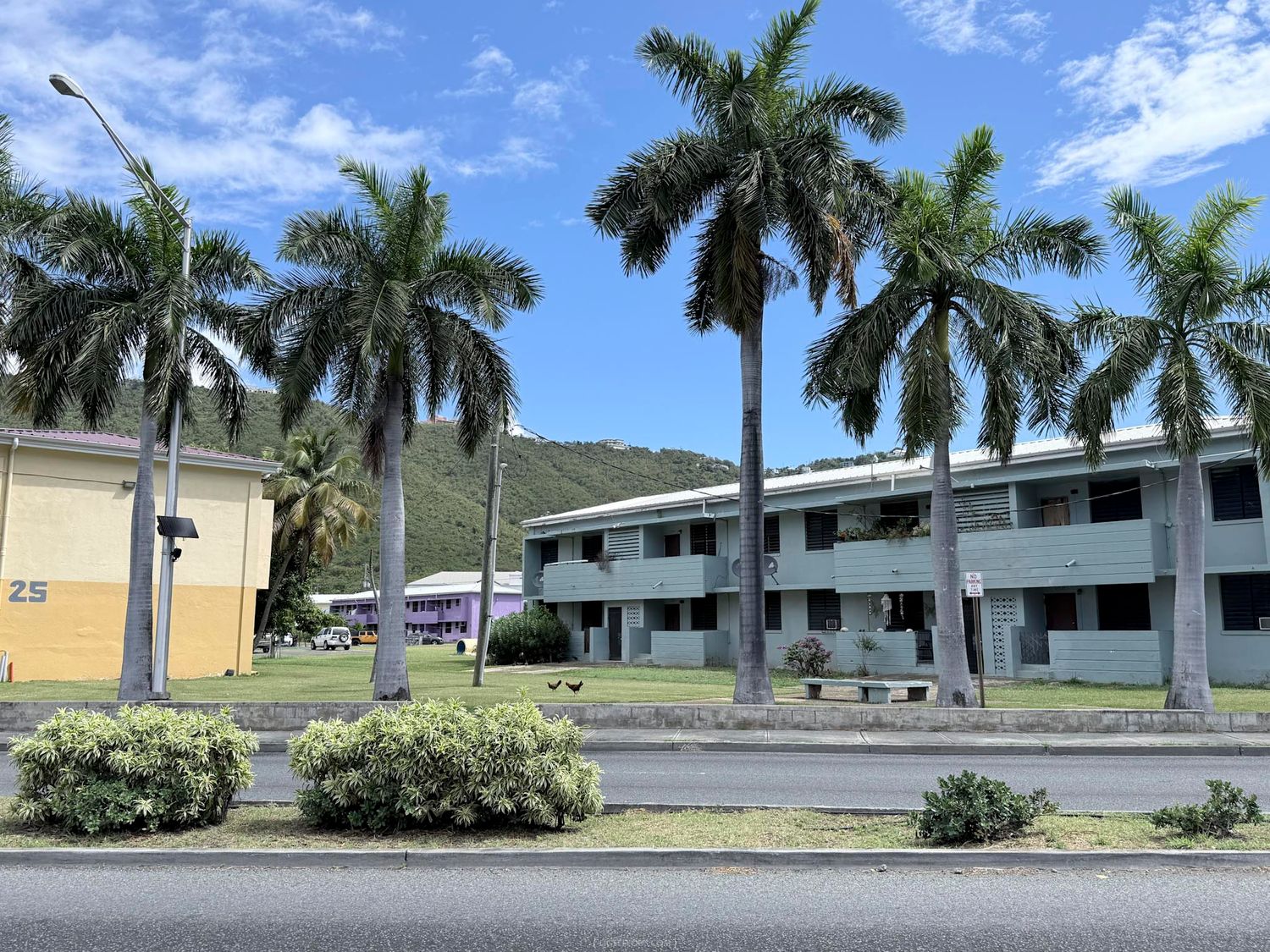 Two-story green building with tall royal palm trees on a sunny tropical campus near a green hillside.