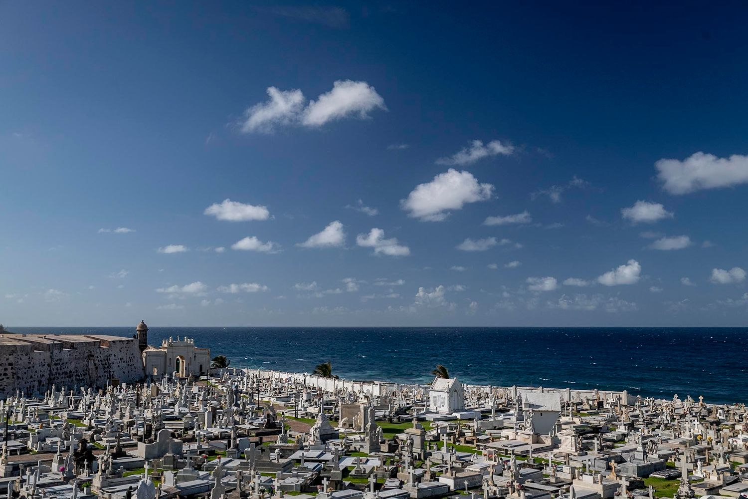 Panoramic view of a seaside cemetery with white tombstones stretching toward the turquoise ocean under a blue sky.