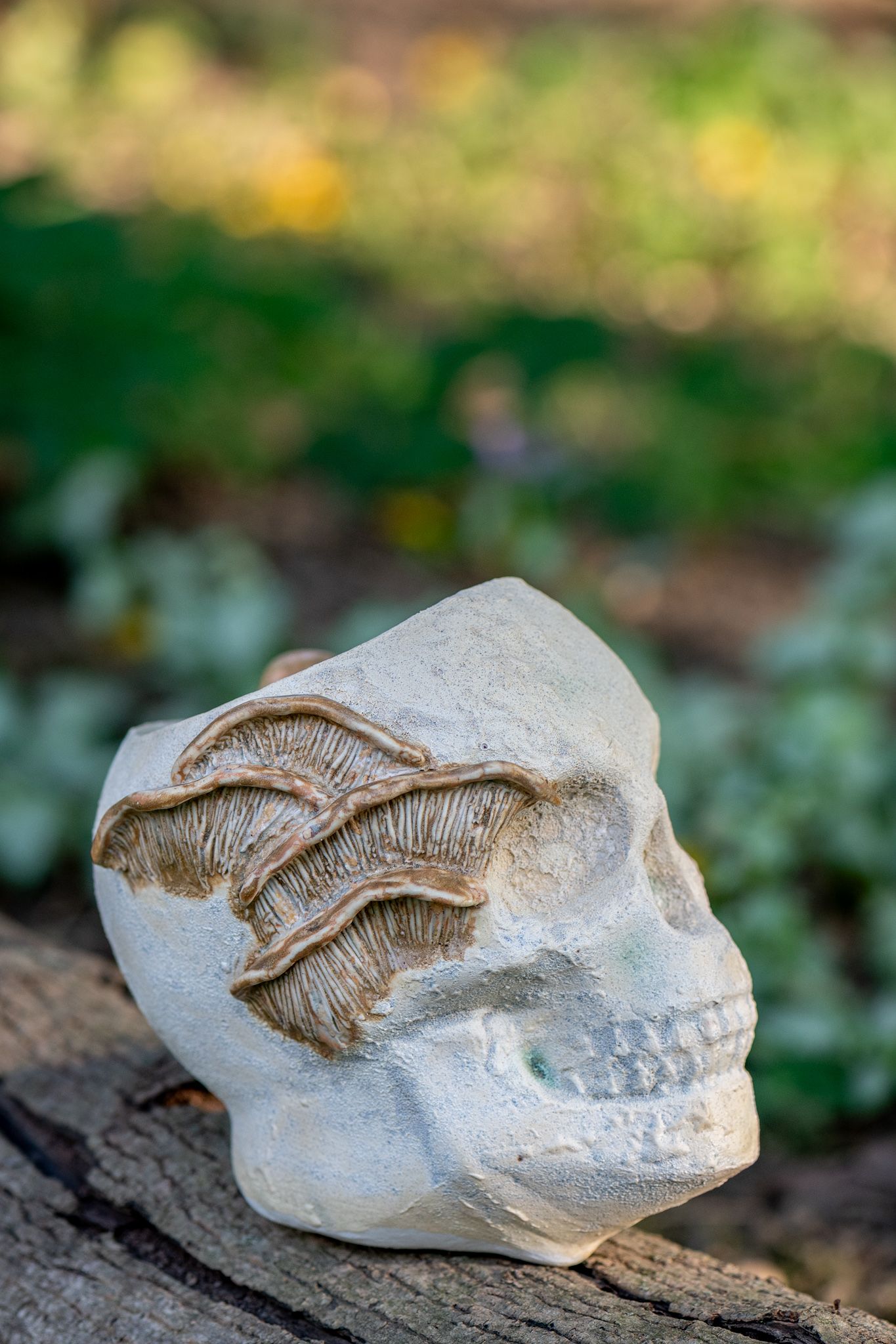 White ceramic skull sculpture with mushroom decorations resting on wooden log outdoors.