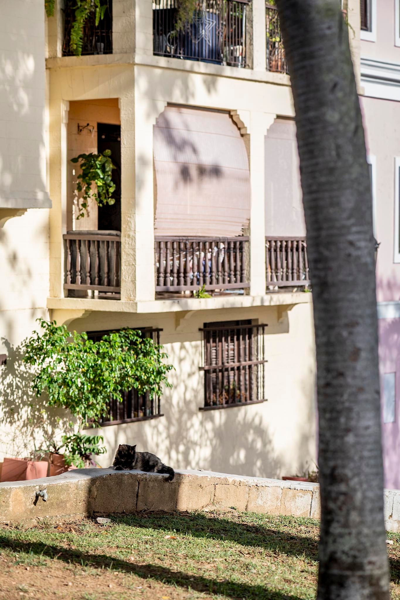 A black cat resting outside a cream-colored Mediterranean apartment building with balconies and iron-barred windows.