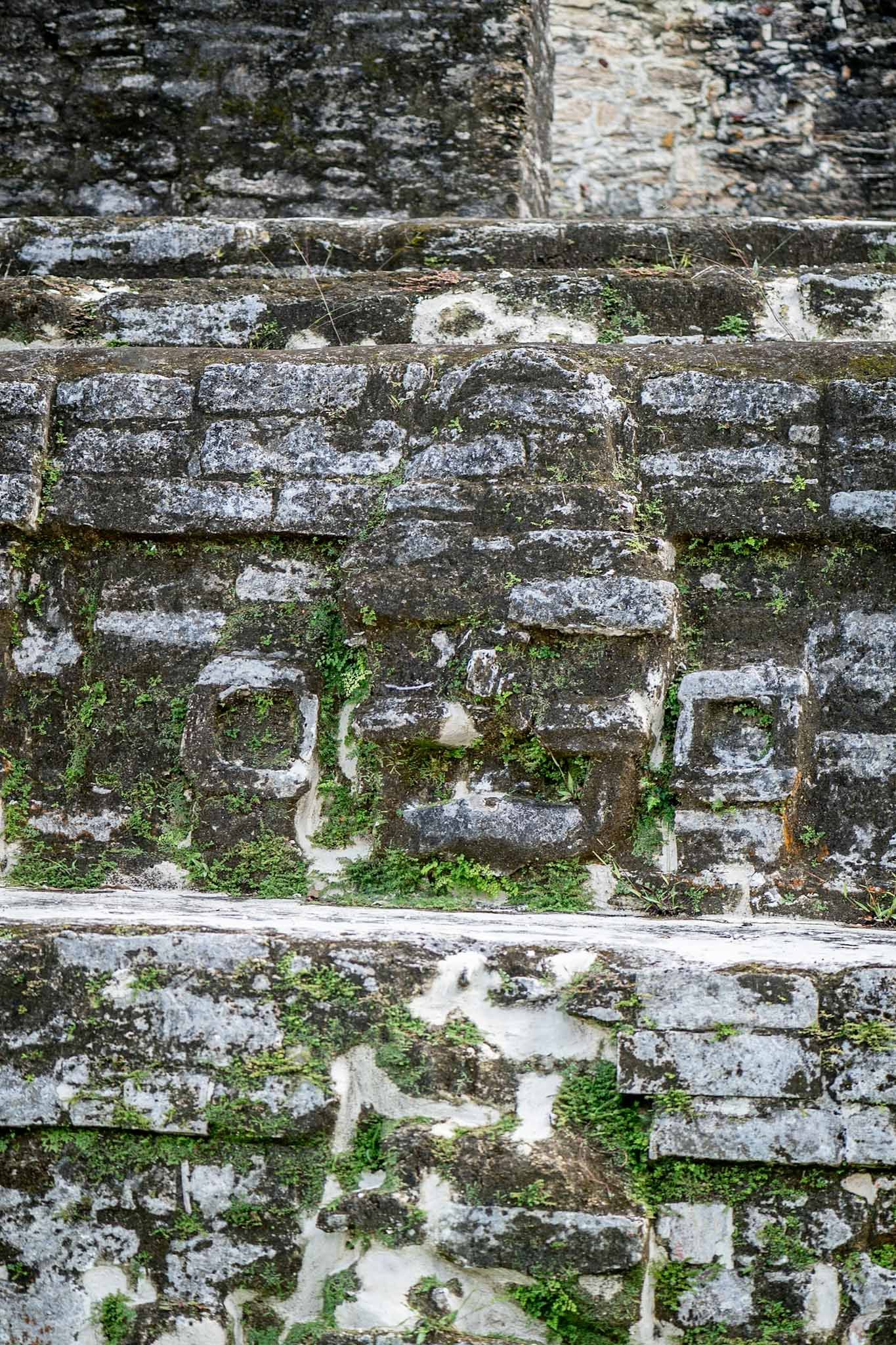 Weathered white stone wall texture with green moss growing between the cracks and layers.