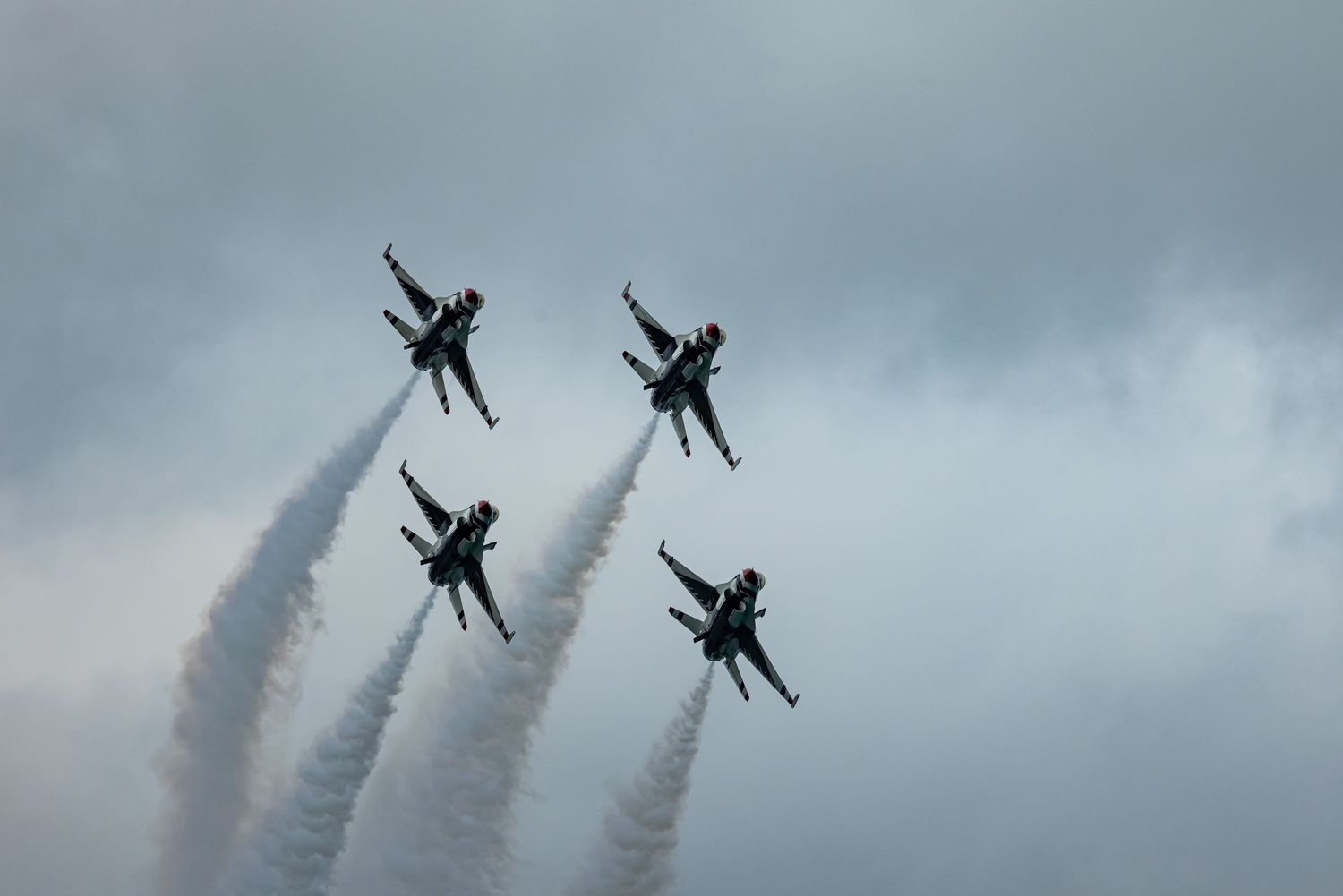 Birds of Thunder