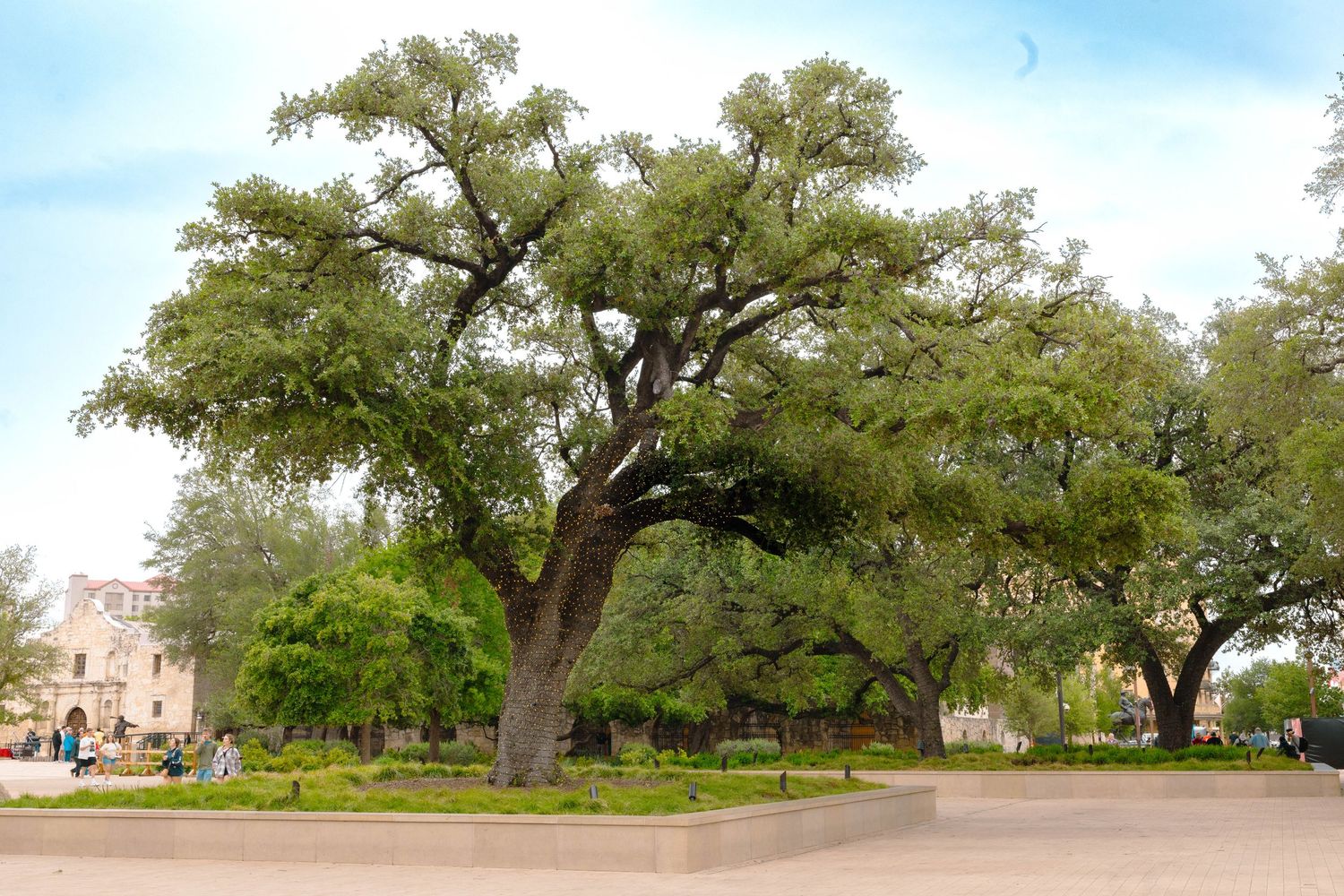 San Antonio