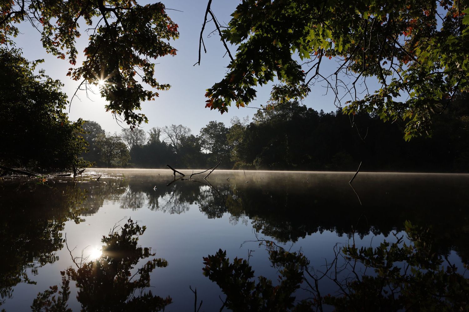 Morning at the Mort