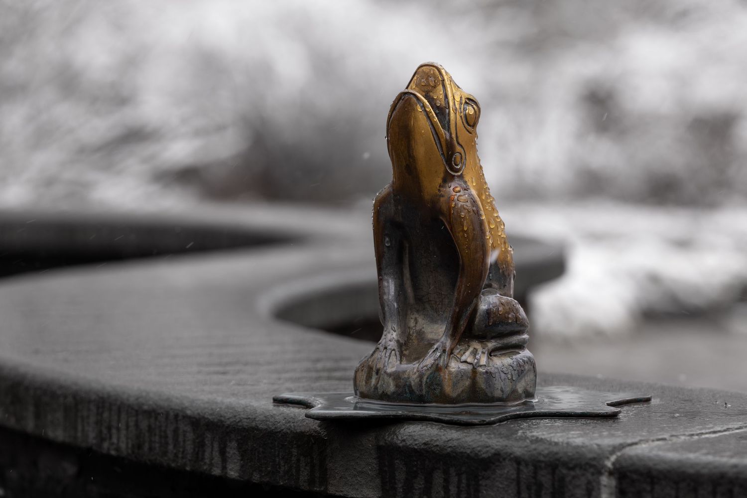 Frigid Frog