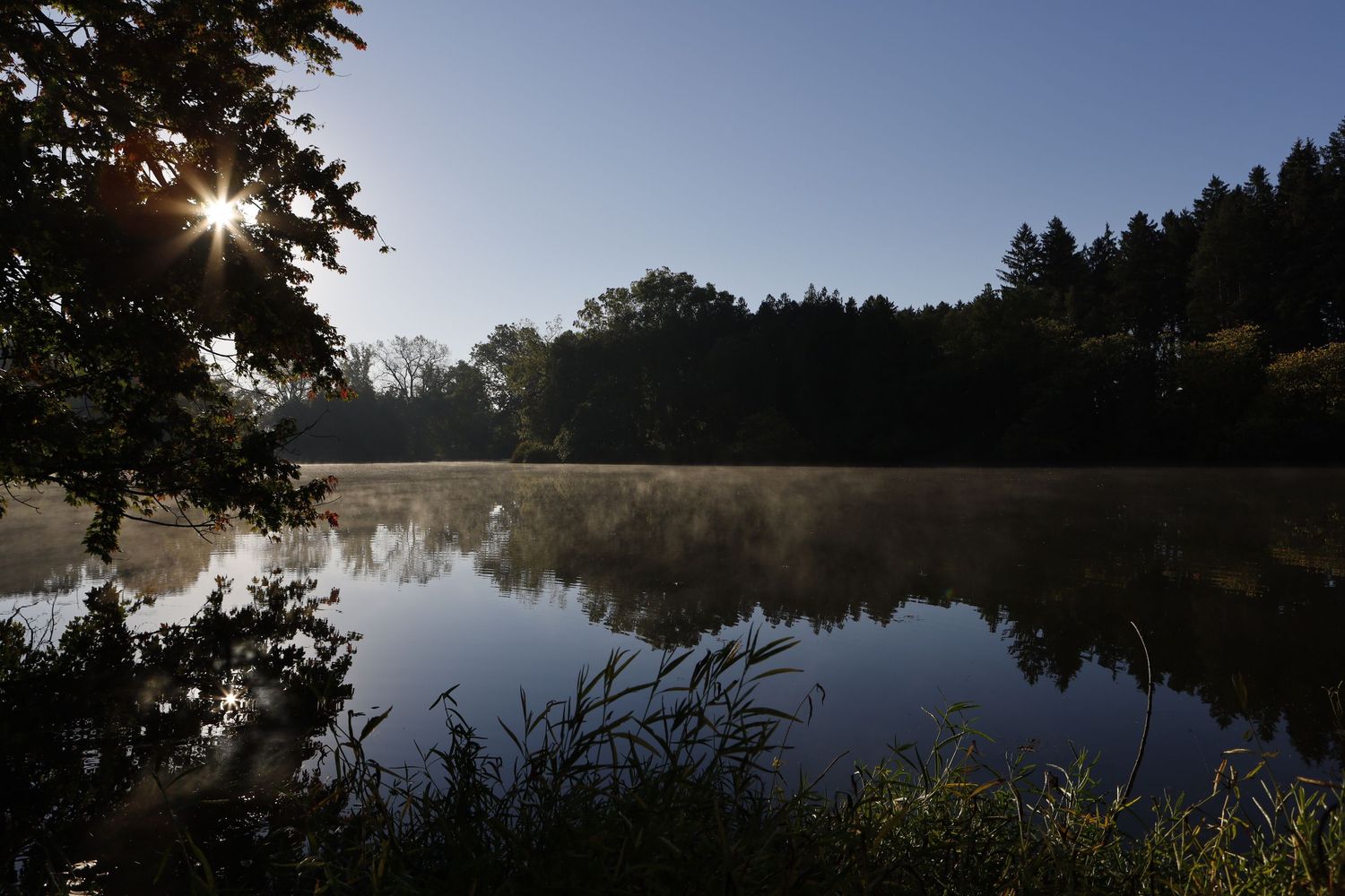 Morning at the Mort