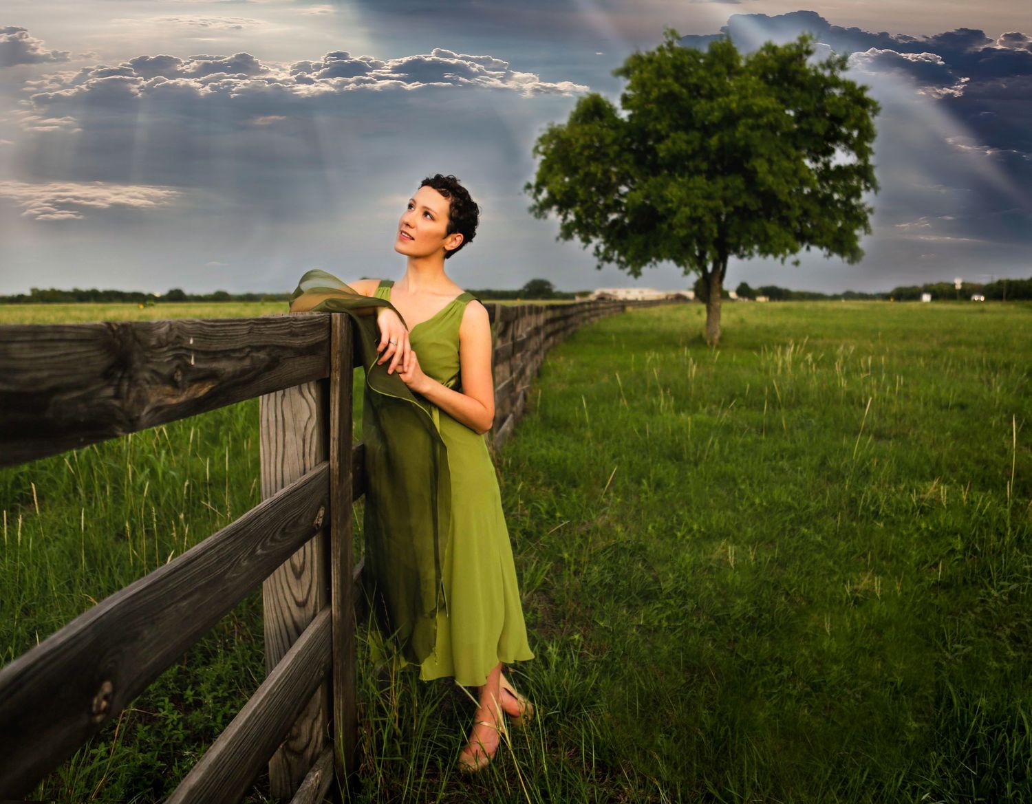 Woman in green dress leaning on rustic fence in lush meadow with dramatic sky and lone tree. Fine Art Portrait Photography bookcover