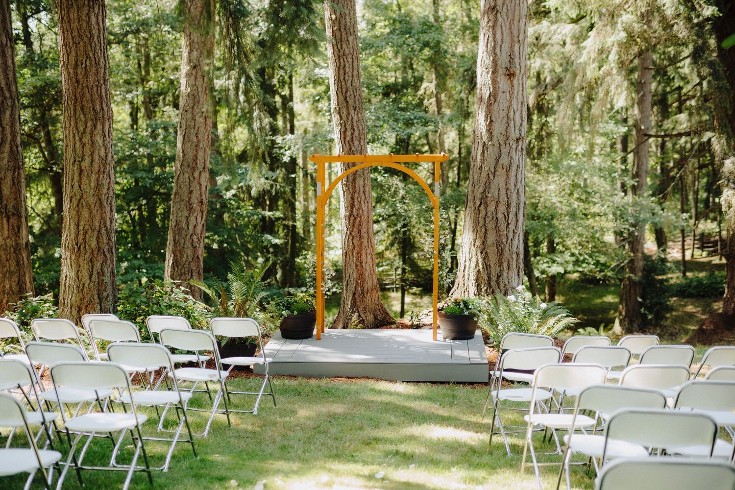 White folding chairs arranged in rows for an outdoor forest wedding ceremony.