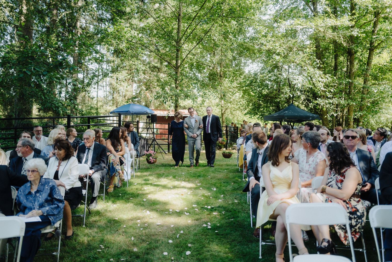 Wedding guests gather outdoors under a canopy of green trees for a celebration.