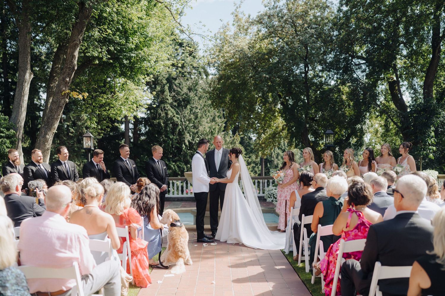 Wedding guests seated outdoors at a garden ceremony under tall trees on a sunny day.