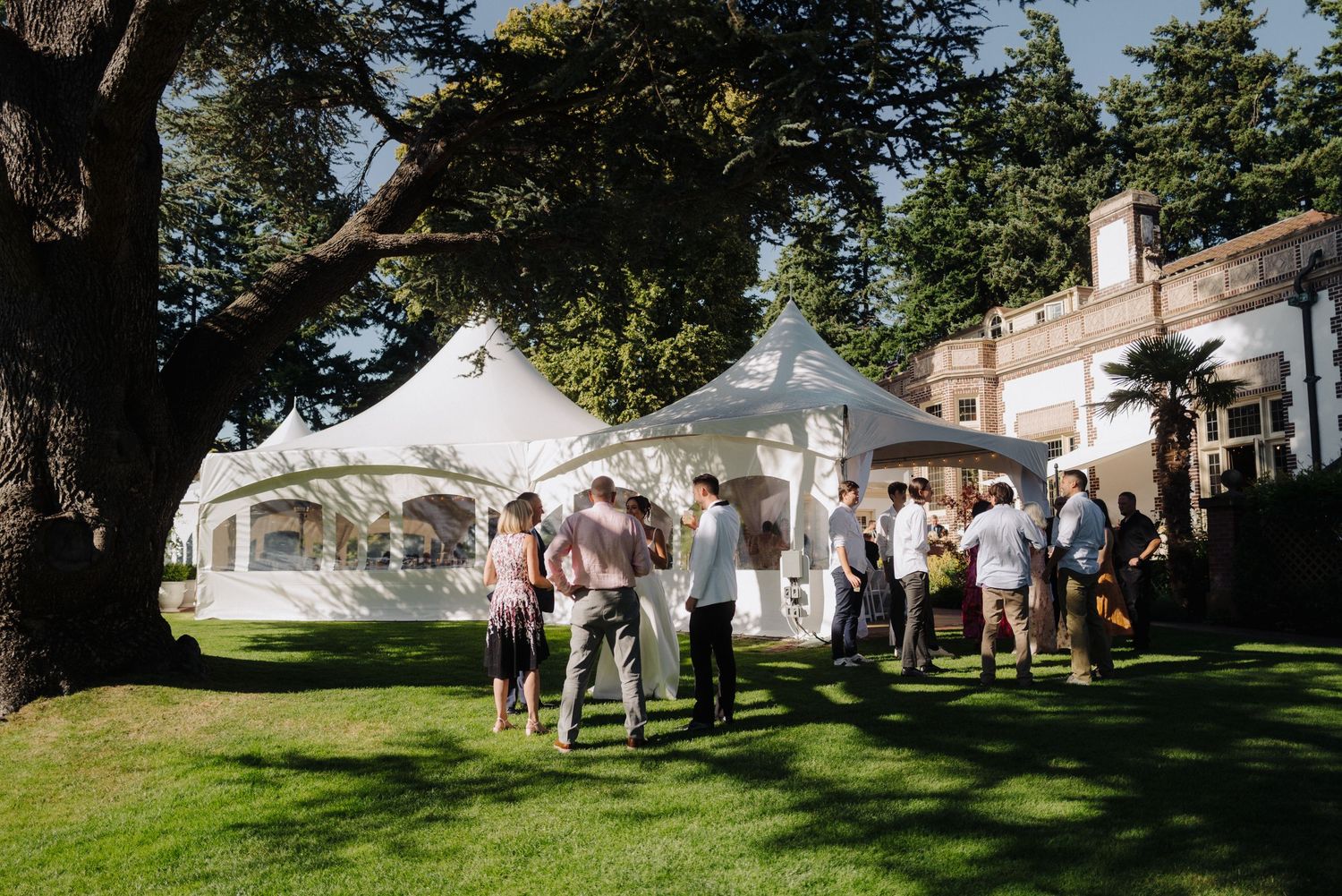 White wedding tents set up on a sunny lawn surrounded by trees for an outdoor celebration.