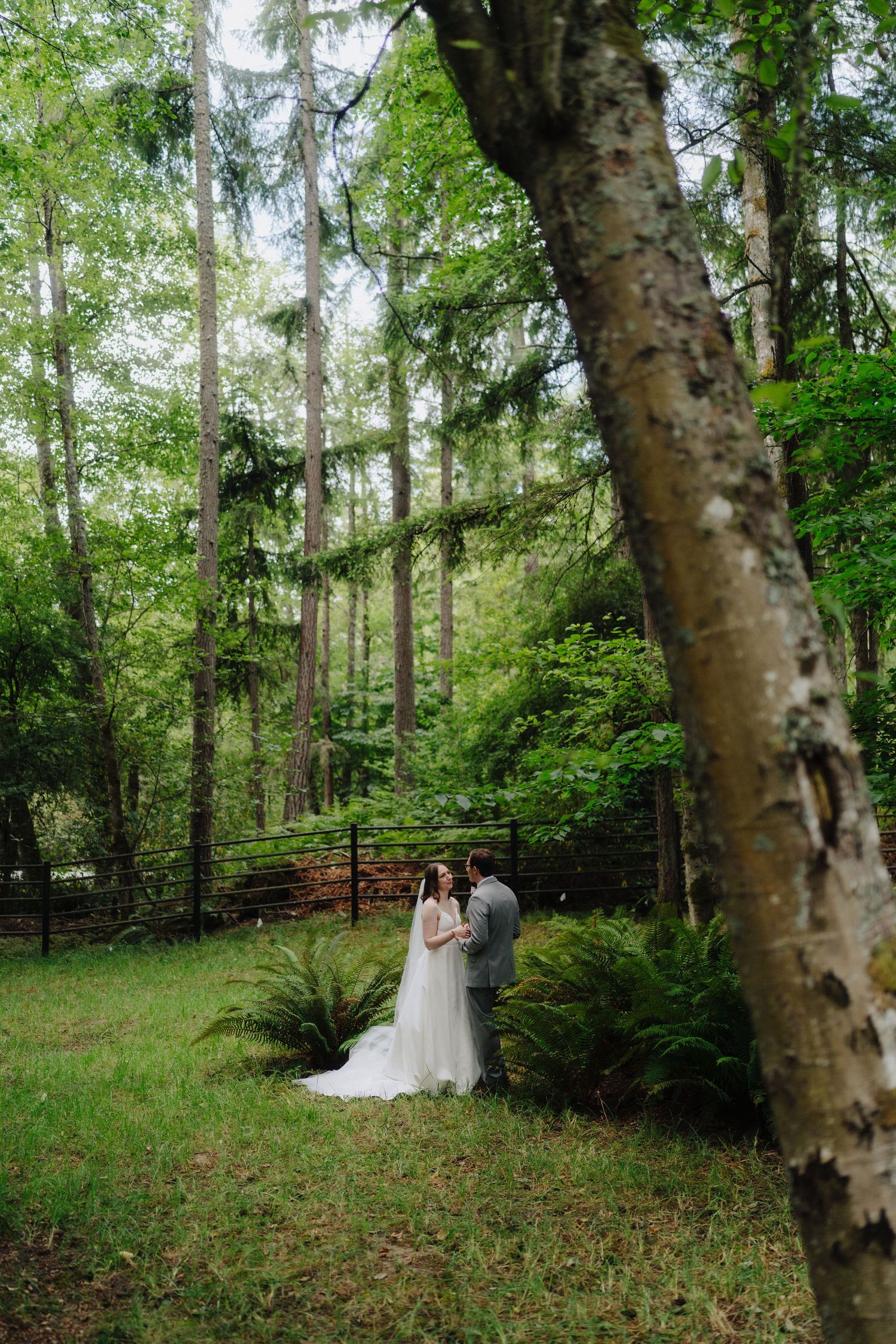 Intimate forest wedding ceremony surrounded by tall evergreen trees and natural greenery.