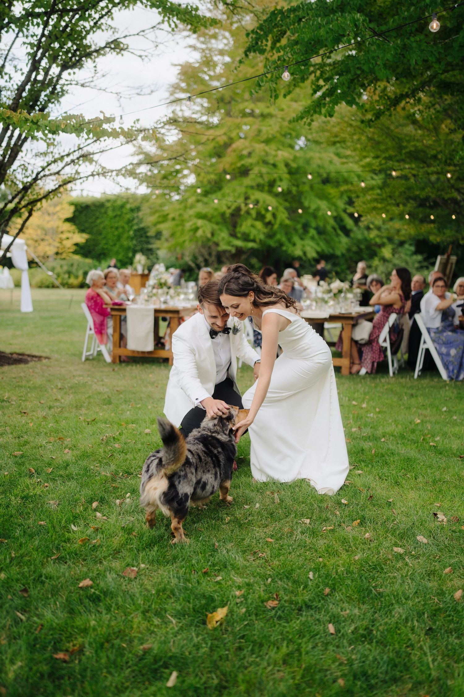 Wedding celebration in a garden setting with guests and dogs playing on the green lawn.
