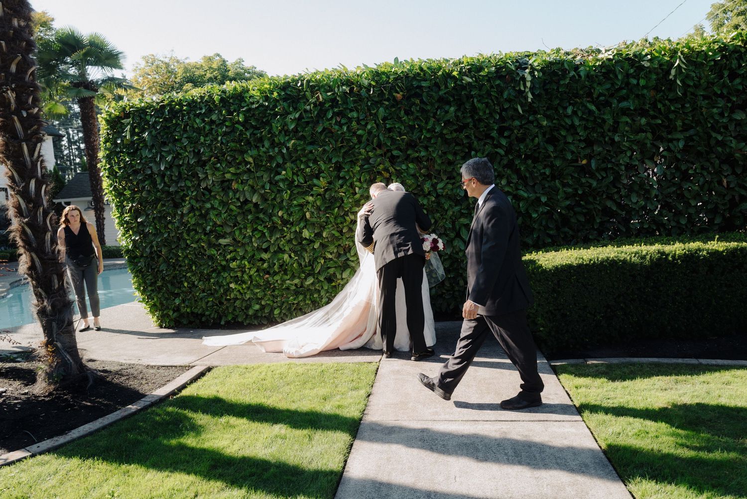Wedding ceremony setup with white chairs along a path bordered by tall green hedges.