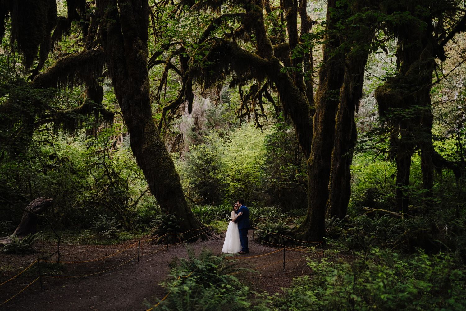 A figure in white stands on a forest path surrounded by towering moss-covered trees in a moody Pacific Northwest setting.