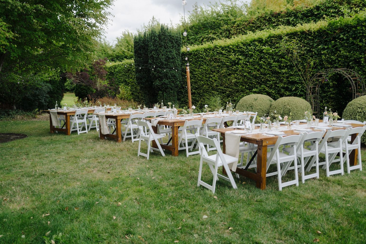 White folding chairs arranged in rows on a lawn with green hedges creating a natural backdrop.