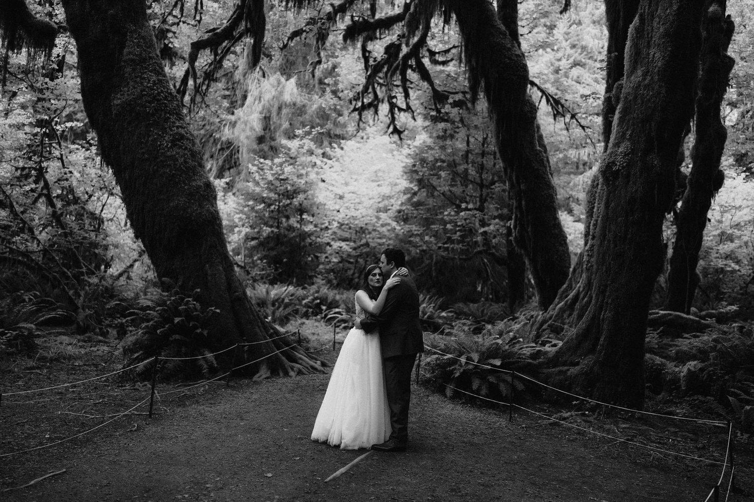 Dreamy black and white wedding photos taken in mossy forest setting.