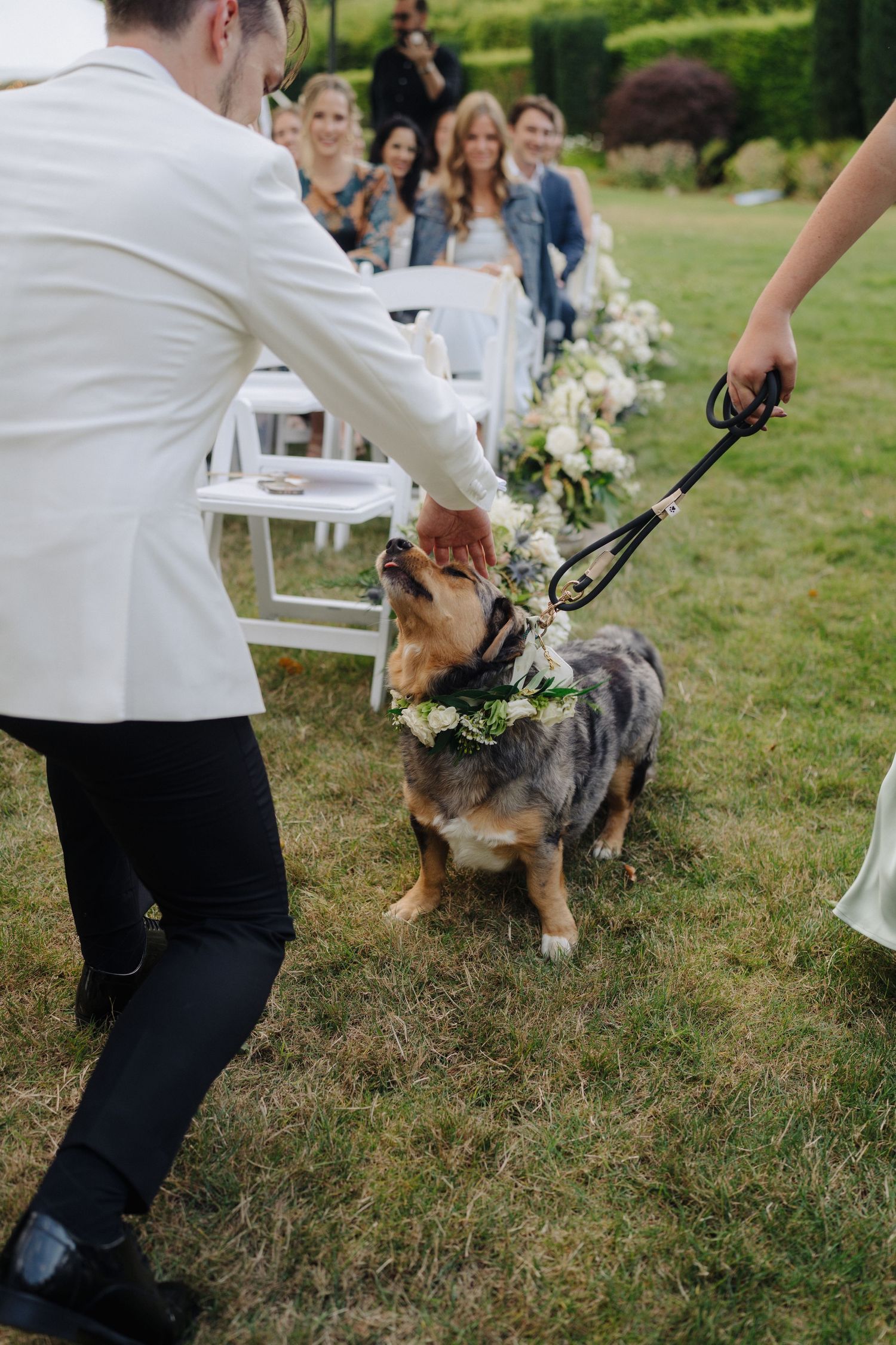 A dog wearing a bowtie at an outdoor wedding ceremony with white chairs.