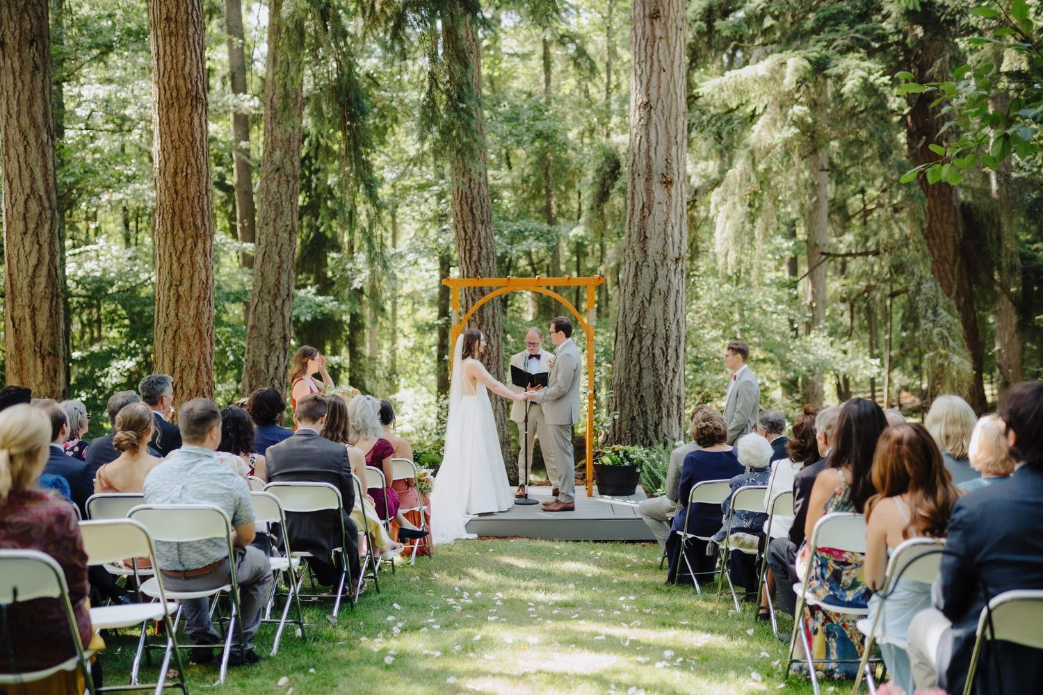 Wedding guests seated in rows of white chairs for an outdoor forest ceremony among tall evergreen trees.