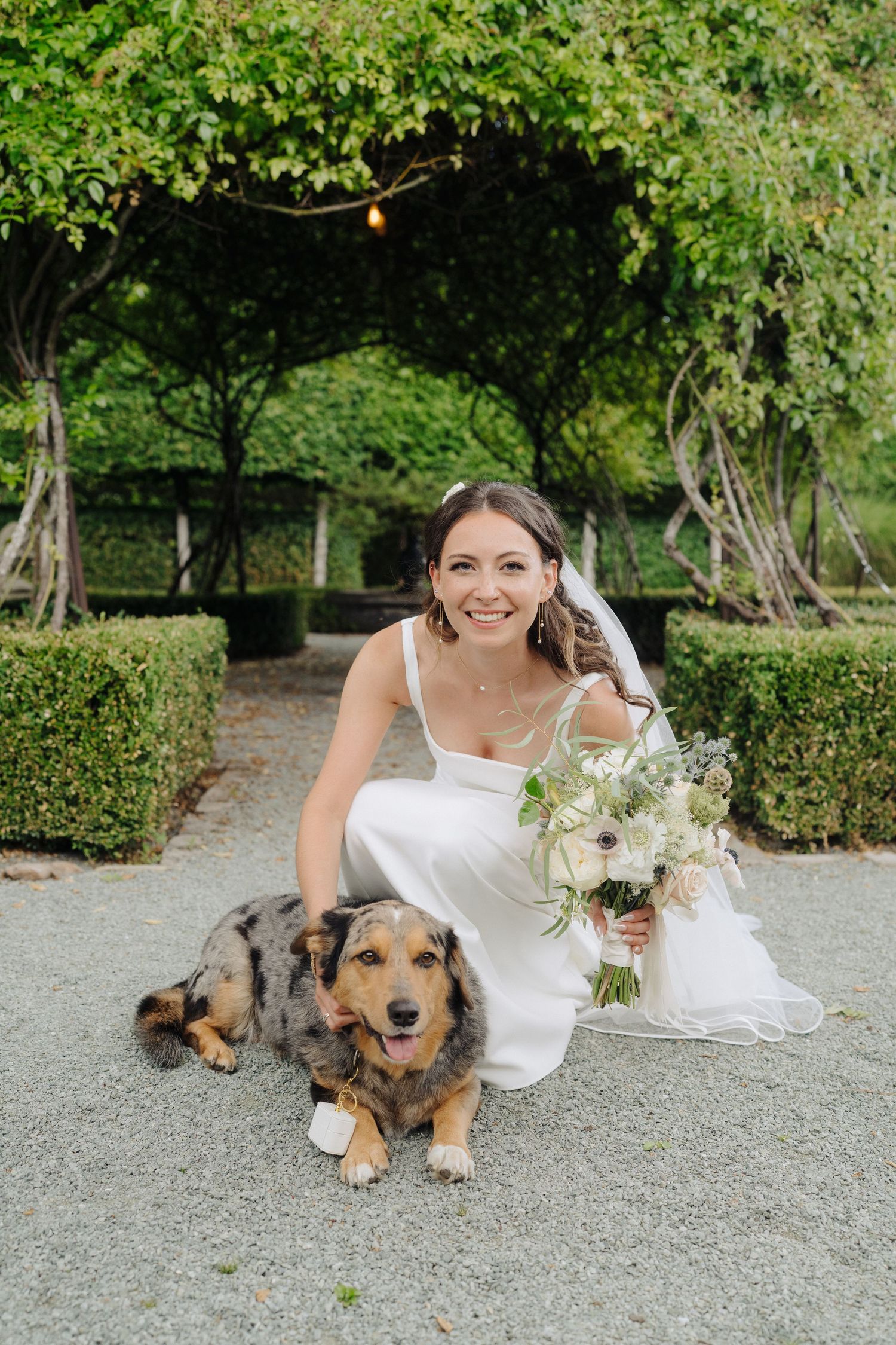 A happy dog lies on the ground in a manicured garden setting with flowers and hedges.