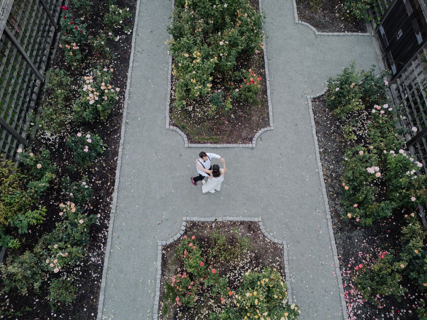 Aerial view of geometric garden pathways with planted flower beds and concrete walkways.