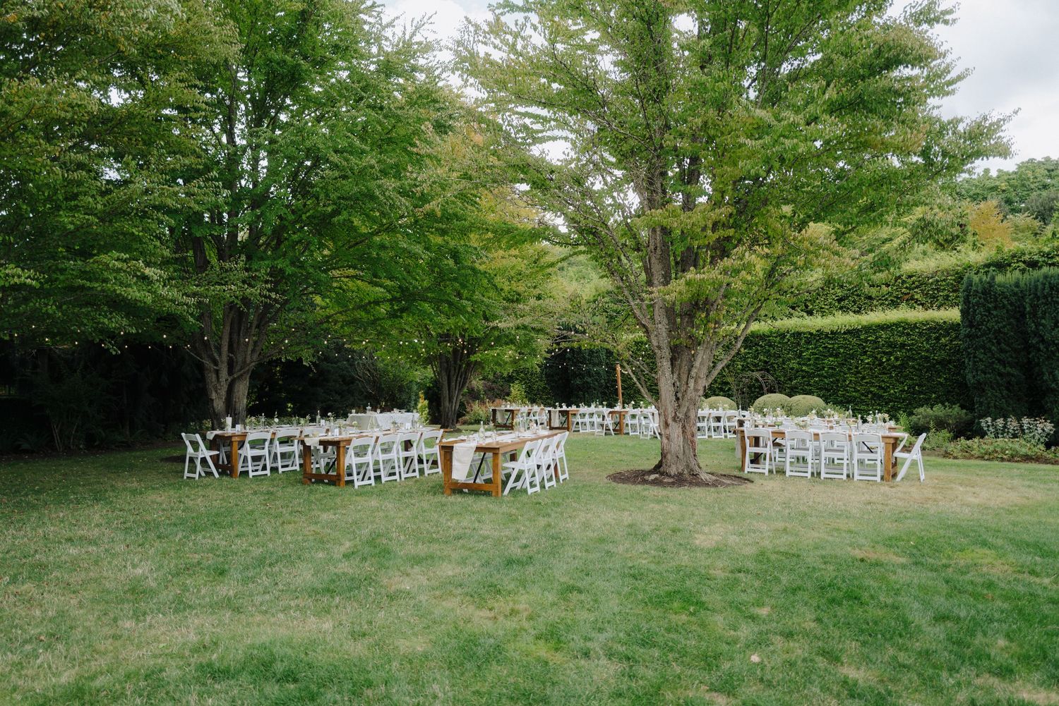 Garden wedding ceremony setup with white chairs arranged between two large trees.