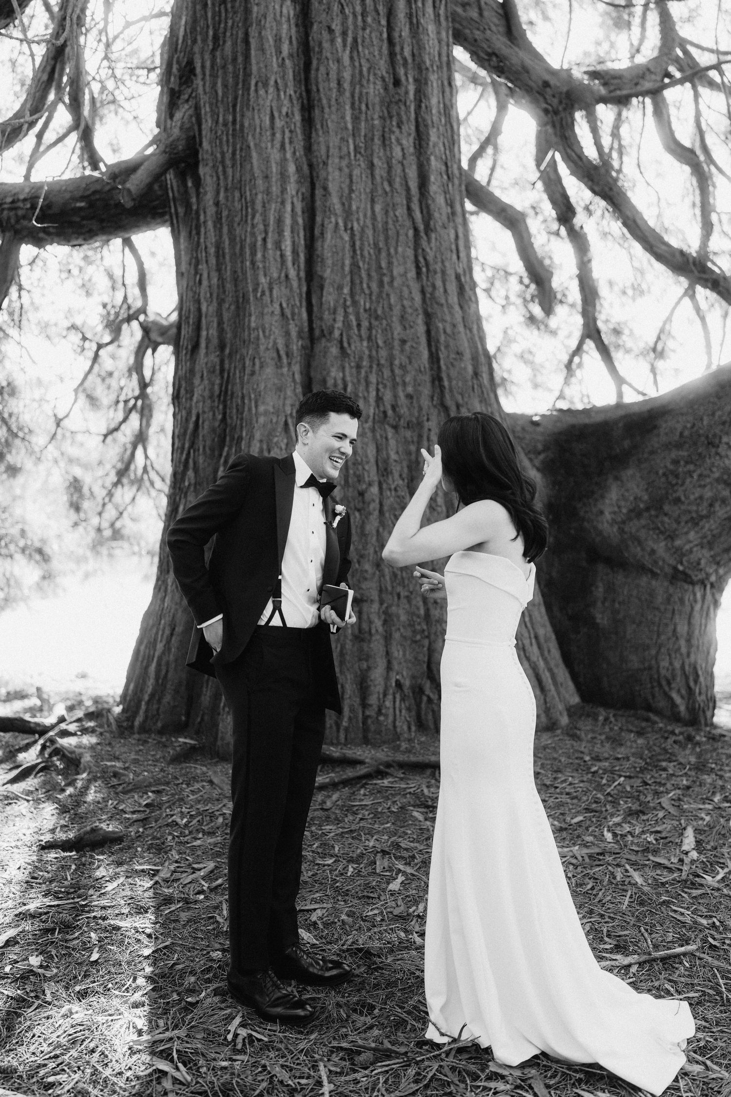 A couple sharing a tender moment beneath a majestic redwood tree during their wedding photoshoot.