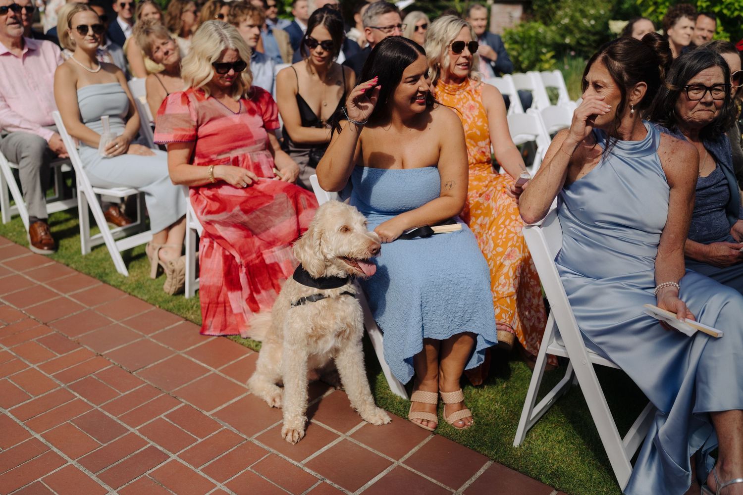 Wedding guests seated in white chairs watching the ceremony outdoors.
