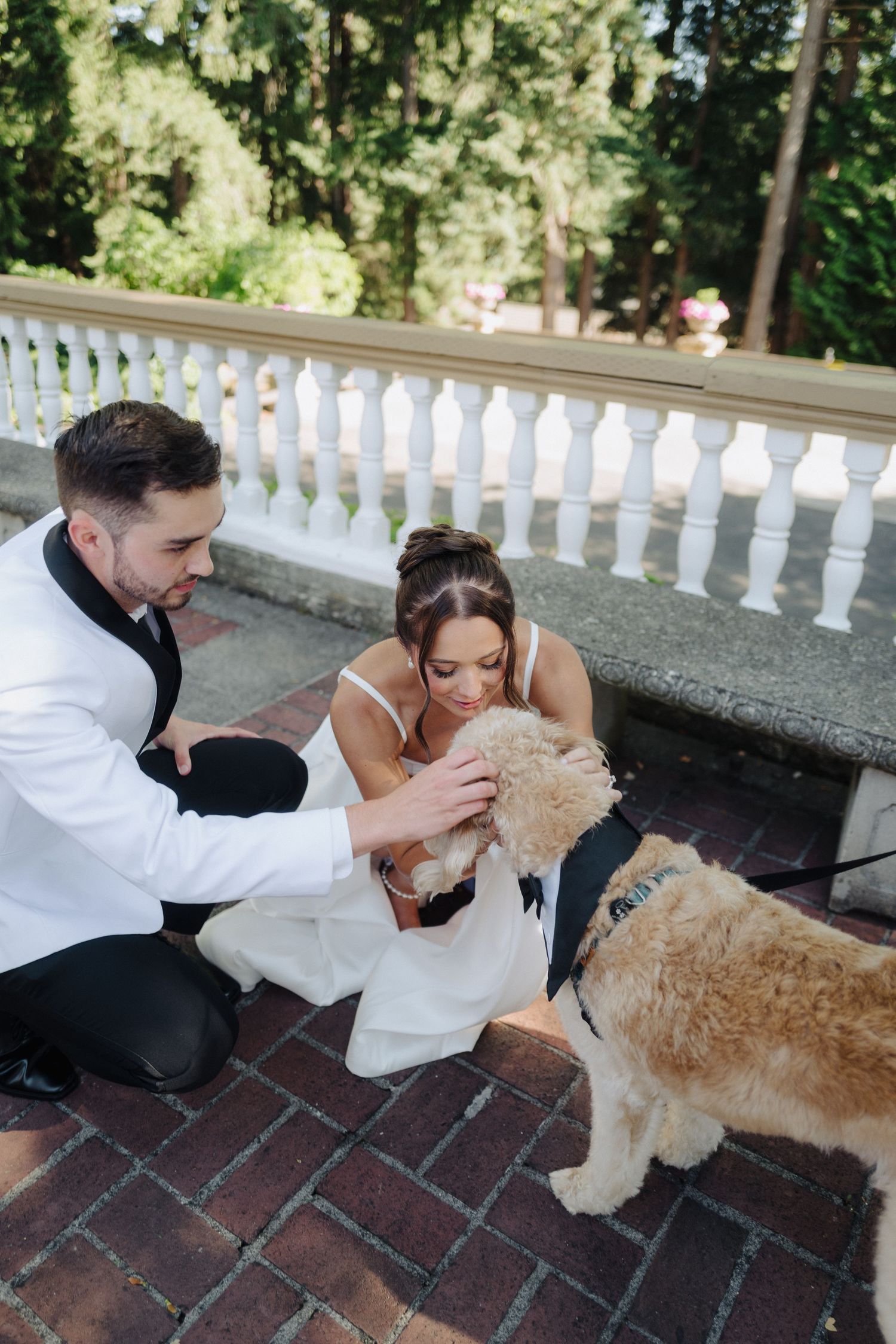 A fluffy golden dog receives affection from a wedding couple on a brick patio.