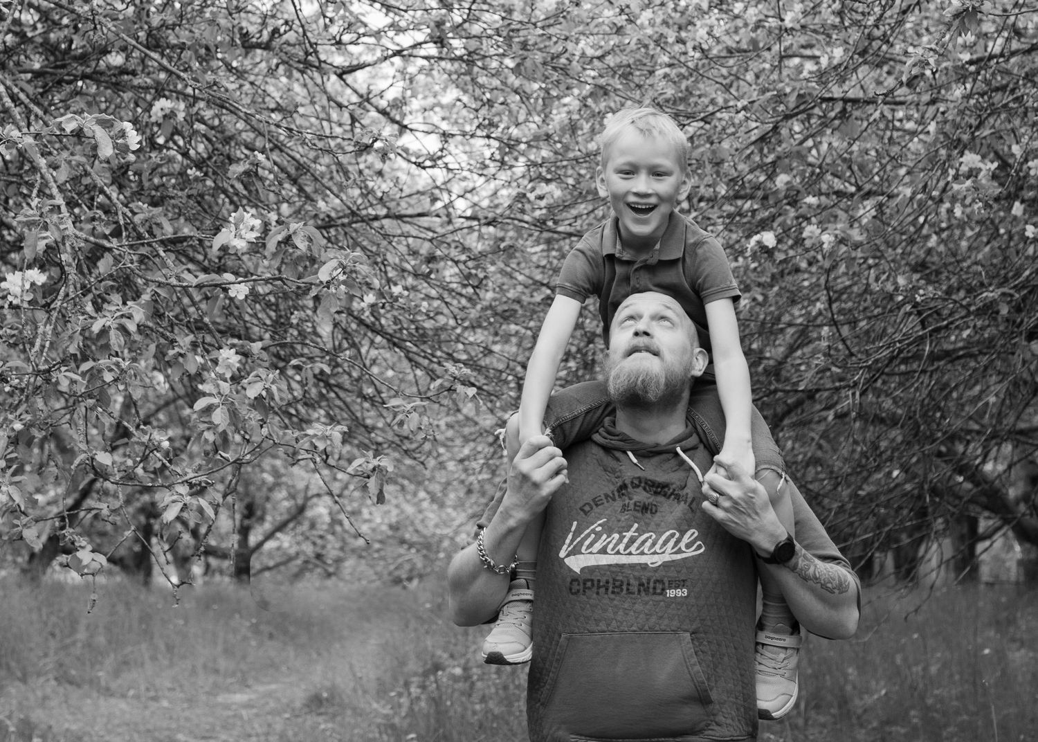 Mustavalkoinen perhekuva, jossa isä kantaa nauravaa lasta harteillaan omenaputarhassa. Rento perhekuvaus Keski-Uusimaa.