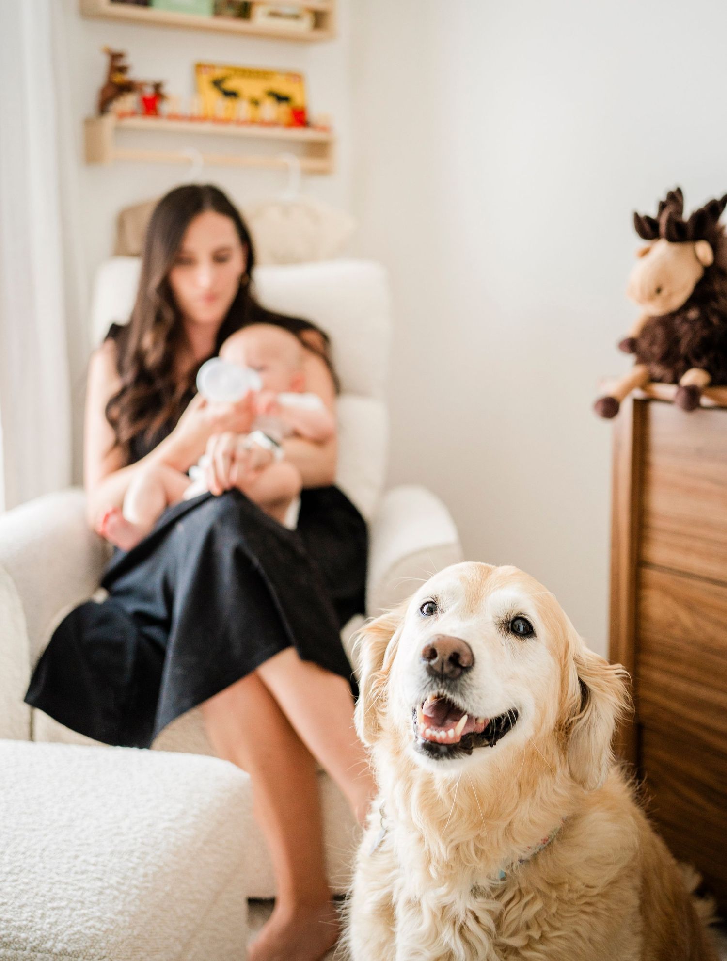 Happy golden retriever looking up at family members sitting on white couch.