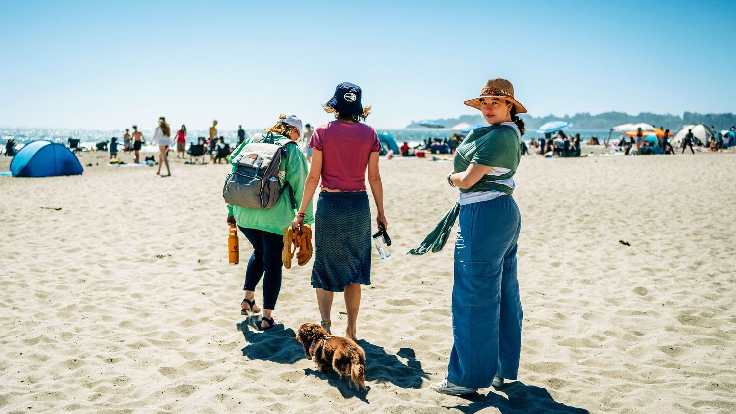 People enjoying a sunny day along a sandy beach with mountains visible in the background.