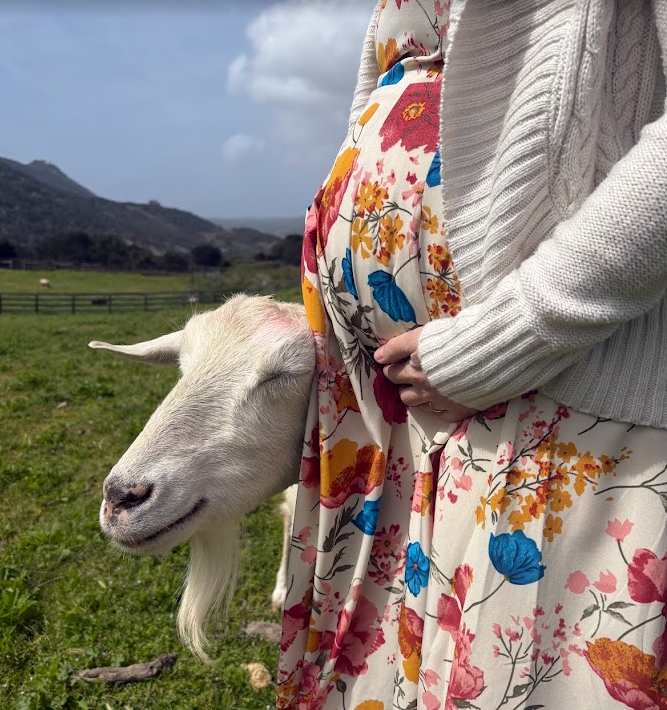 A white floral dress billowing in the wind against green countryside meadows.