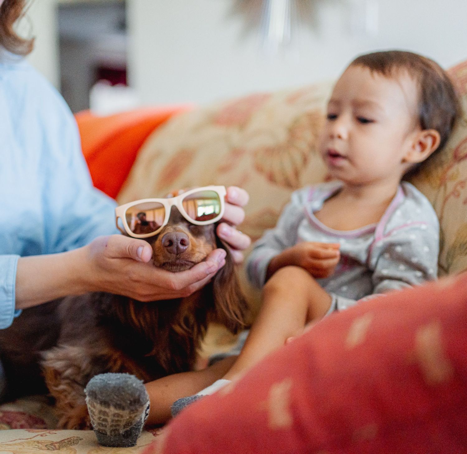Close-up shots show intimate indoor moments with a playful pet dachshund and cozy blankets.