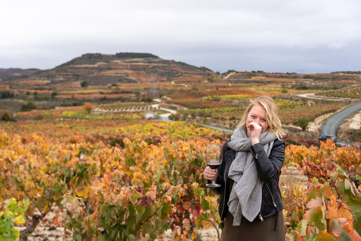 Autumn vineyard landscape with rolling hills and colorful fall foliage.