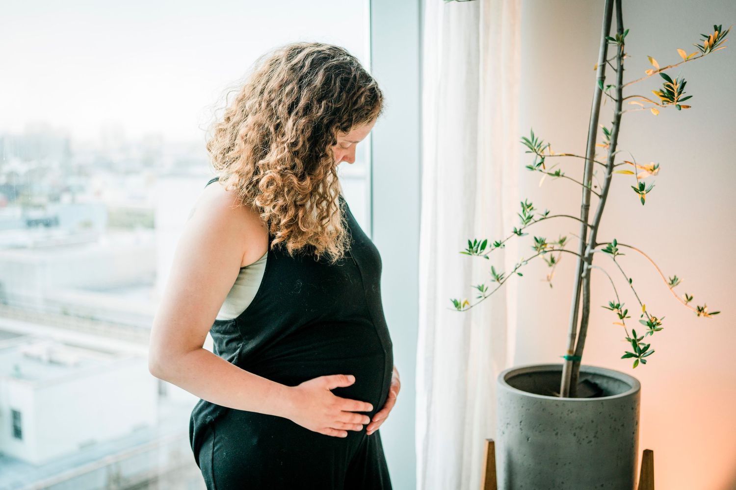 A pregnancy photo session with black dress silhouettes and indoor plants near a window.
