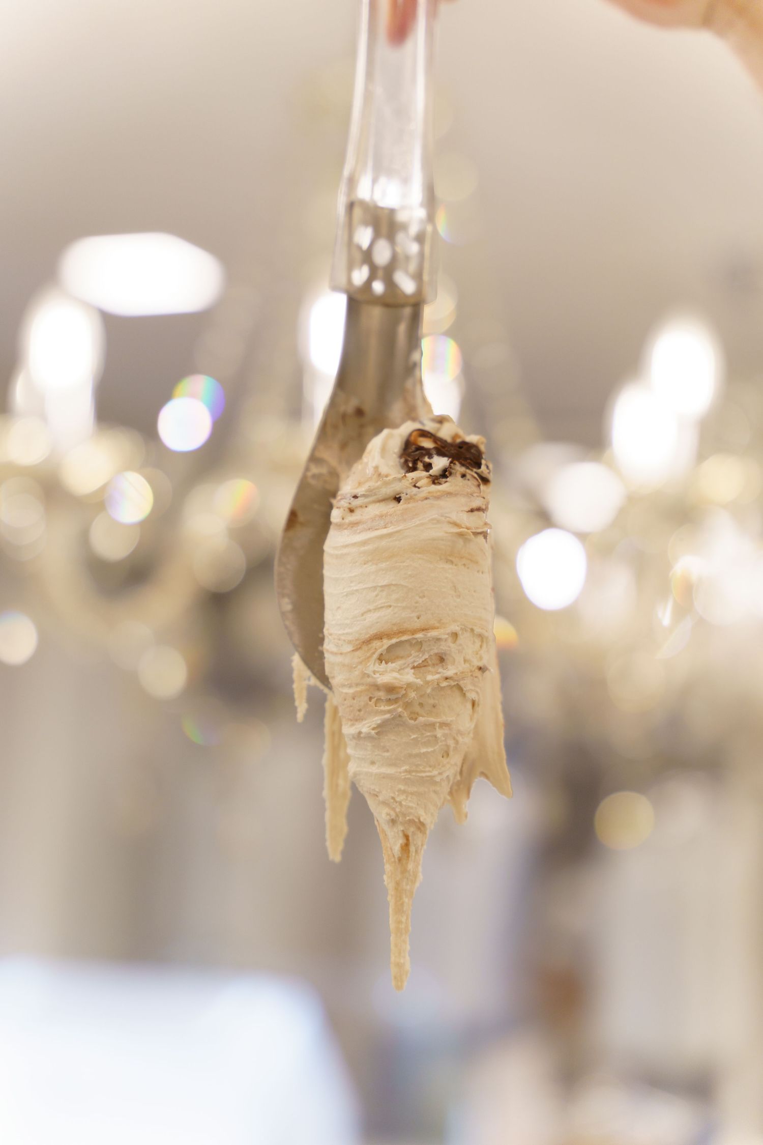 Gelateria Emiliana 2019