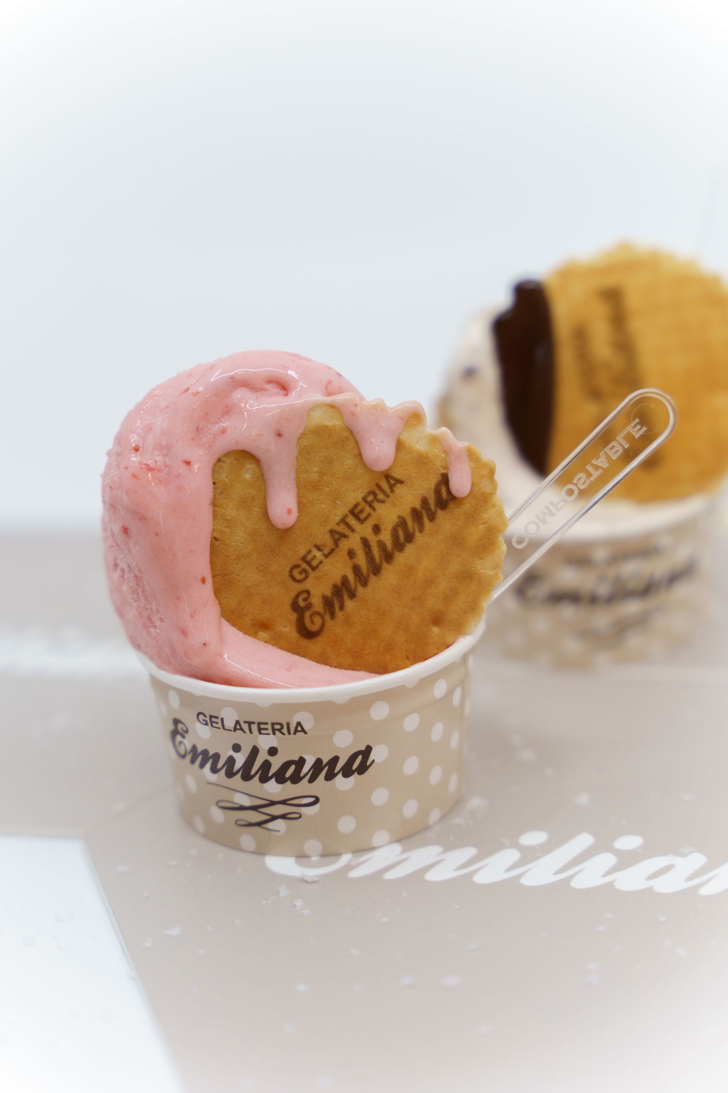 Gelateria Emiliana 2019