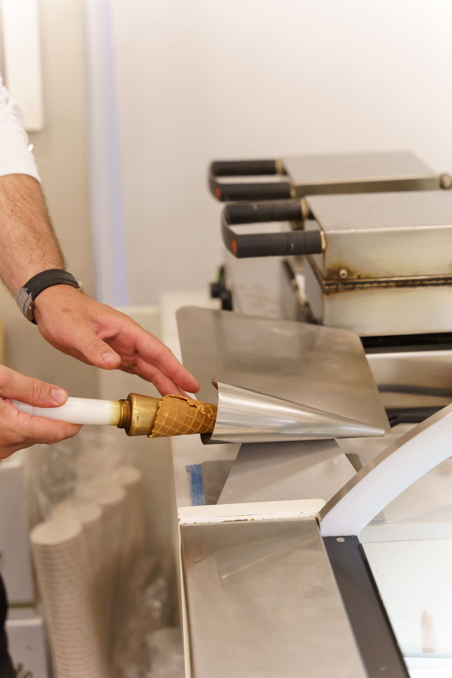 Gelateria Emiliana 2019