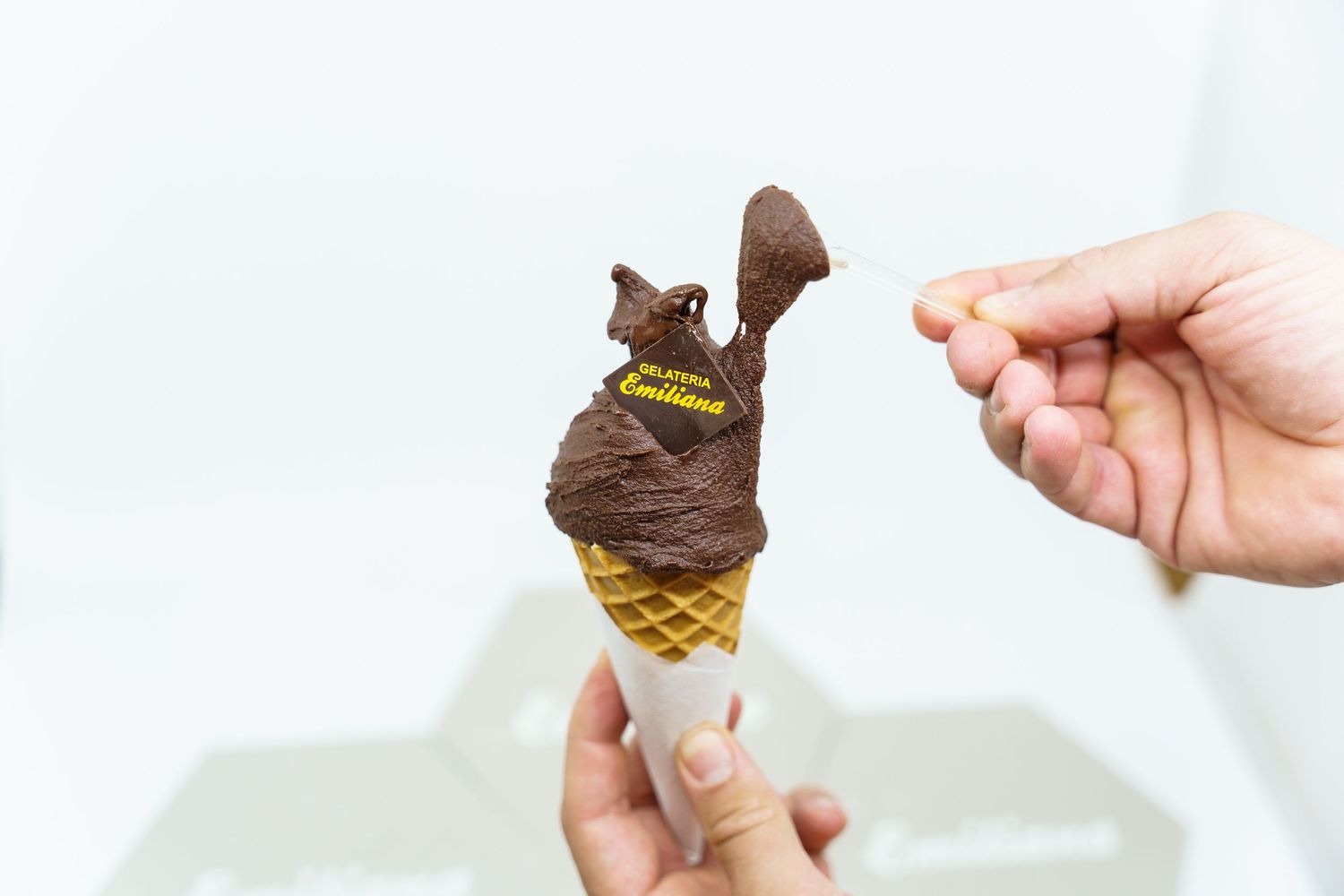 Gelateria Emiliana 2019
