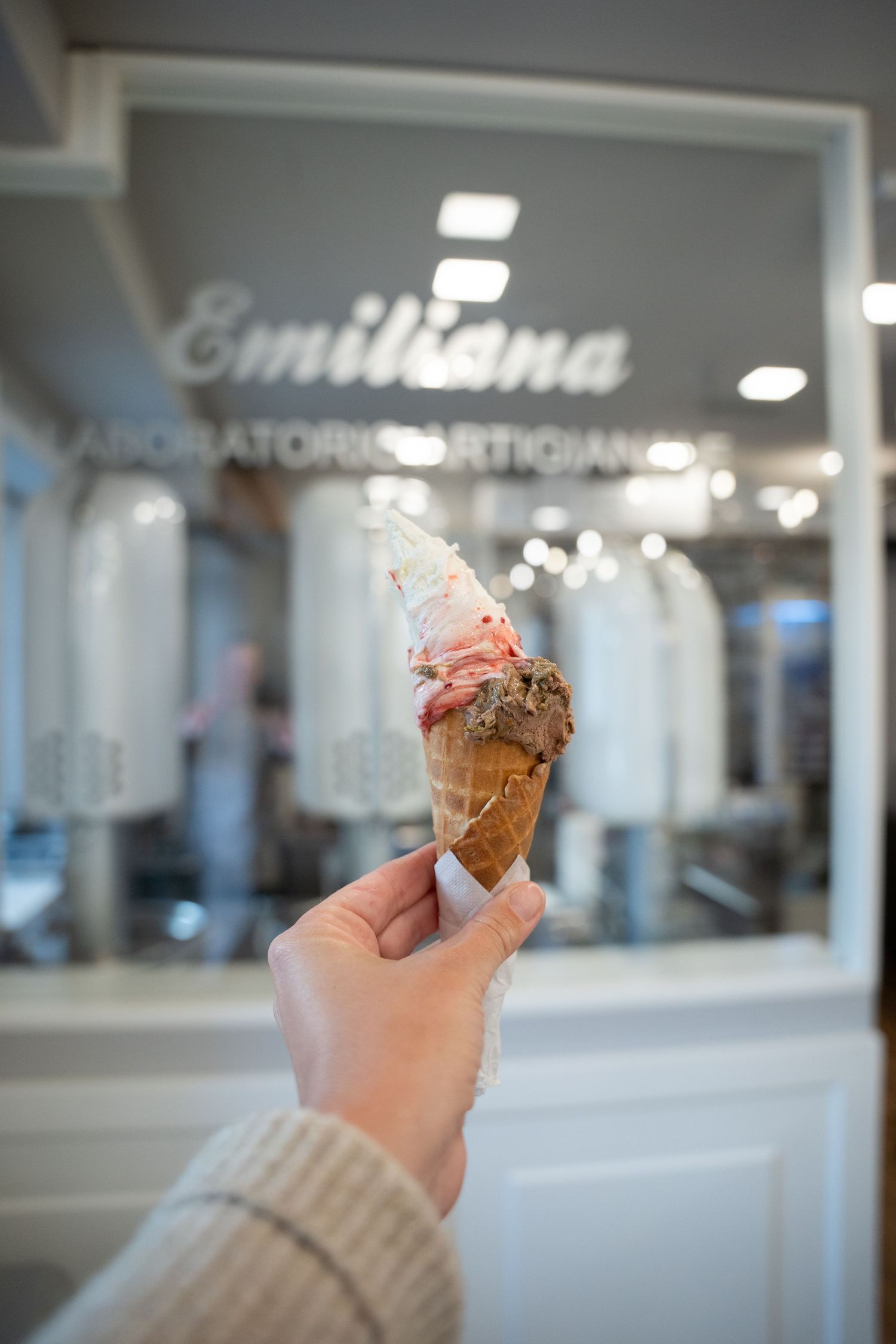 Gelateria Emiliana 2019