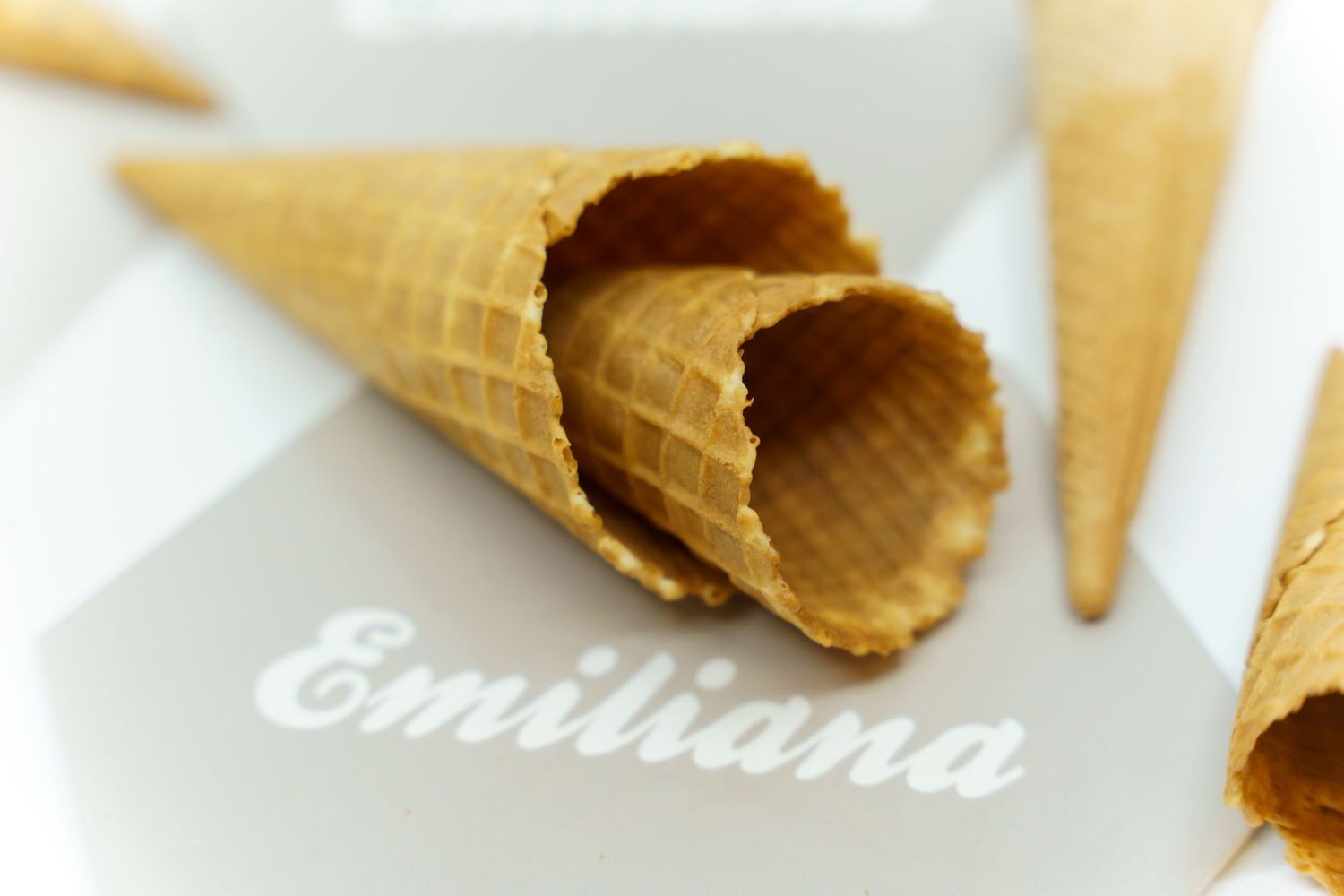 Gelateria Emiliana 2019